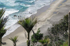 Mangawhai cliffs 