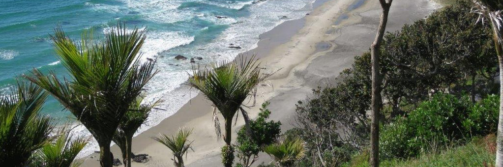 Mangawhai Walkway