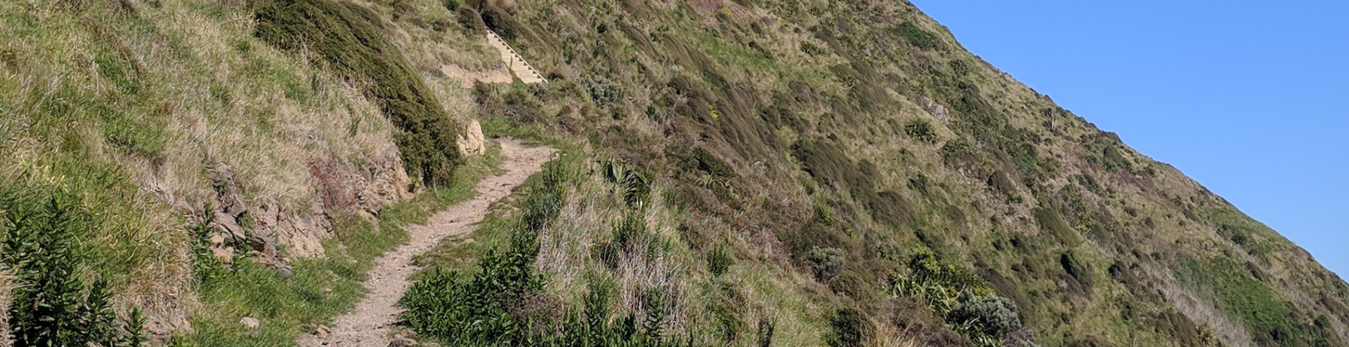 Paekakariki to Pukerua Bay Escarpment Track