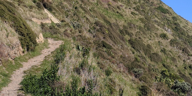 Paekakariki to Pukerua Bay Escarpment Track