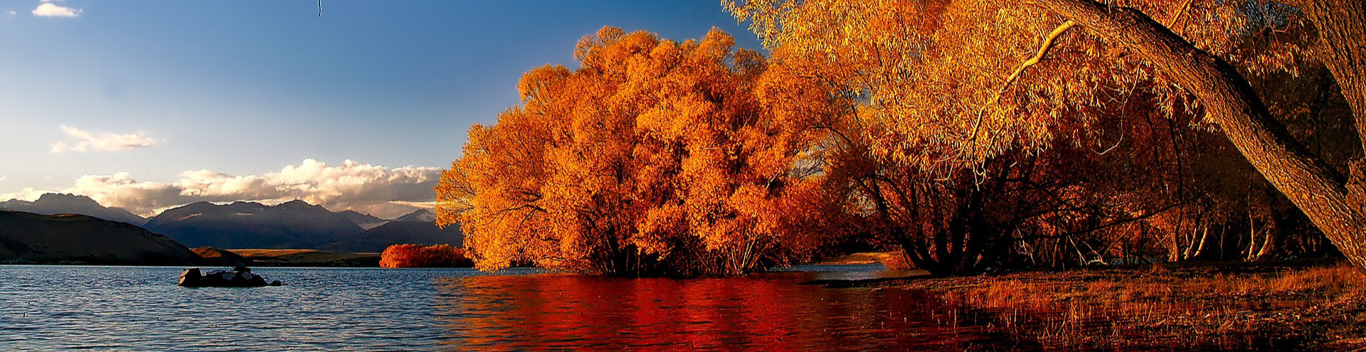 Lake Tekapo