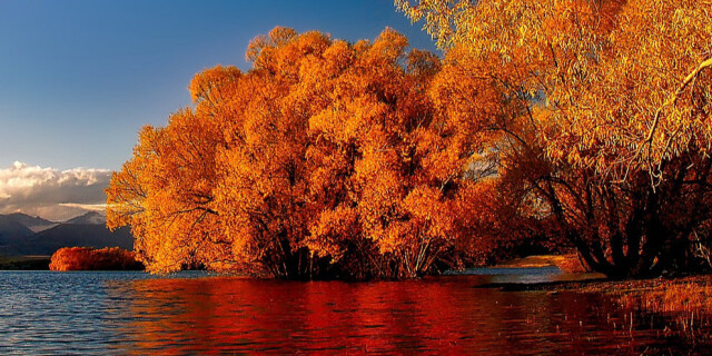 Lake Tekapo