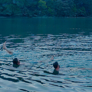 Swimming in Marlborough Sounds