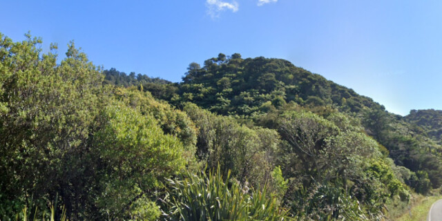 Wainui Bay google screenshot