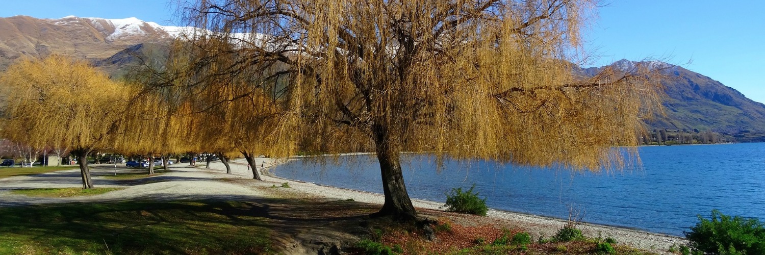 Lake Wanaka