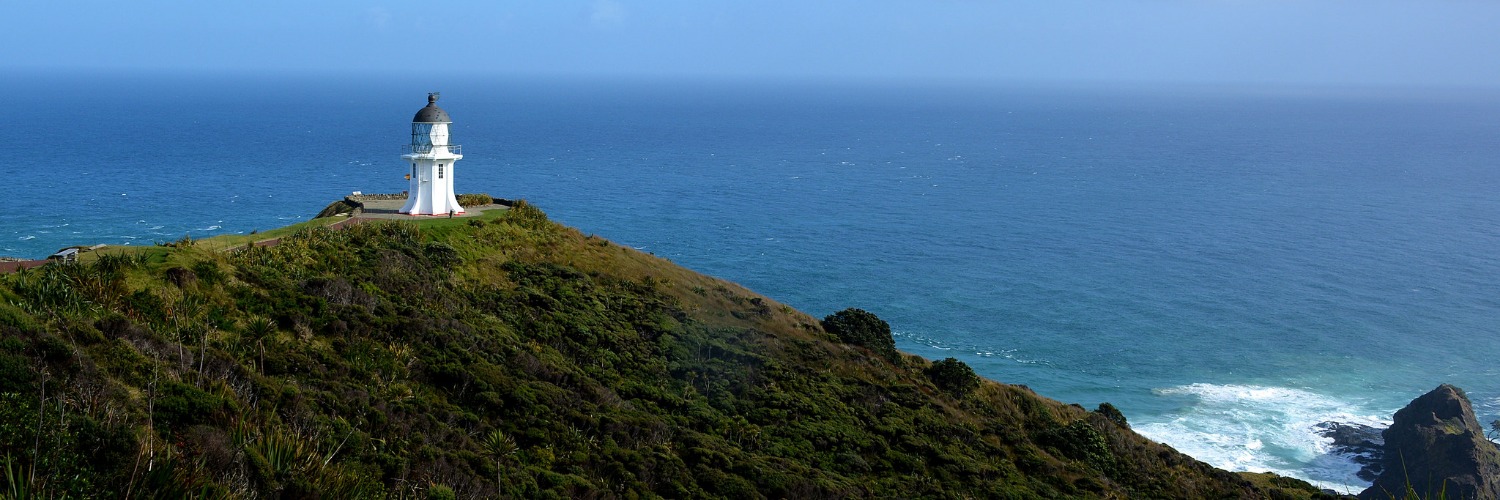 are dogs allowed at cape reinga